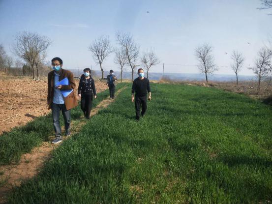 20200402/5e85b70de339a.jpg 2.jpg