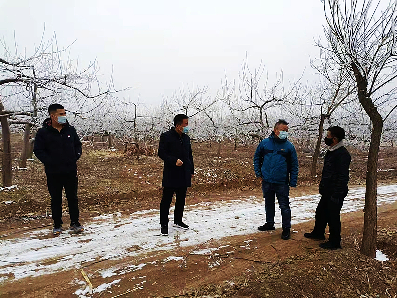 20220124/61ee5cf858883.jpg 1.jpg