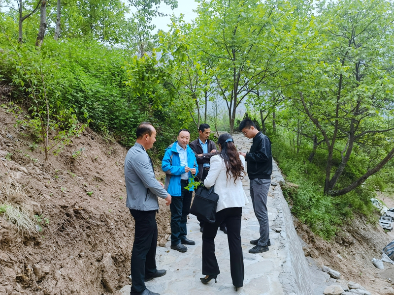 20220622/62b2c537eb555.jpg 2.jpg