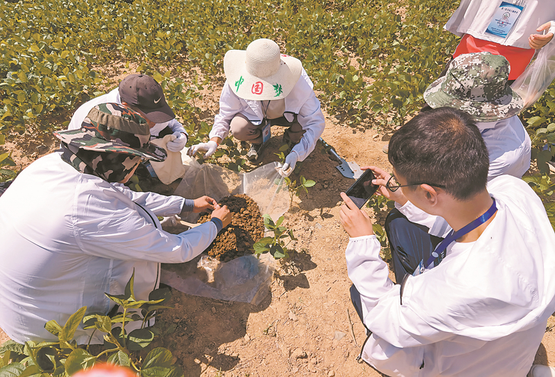 20220909/631aa2d340bfa.jpg 1.jpg