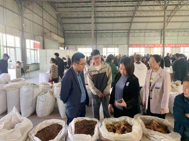 20230613/648825547f7ed.jpg 2.jpg