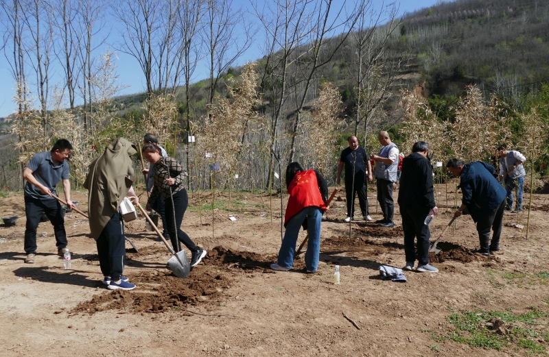 20240407/66125b7b1a3f5.jpg 2.jpg