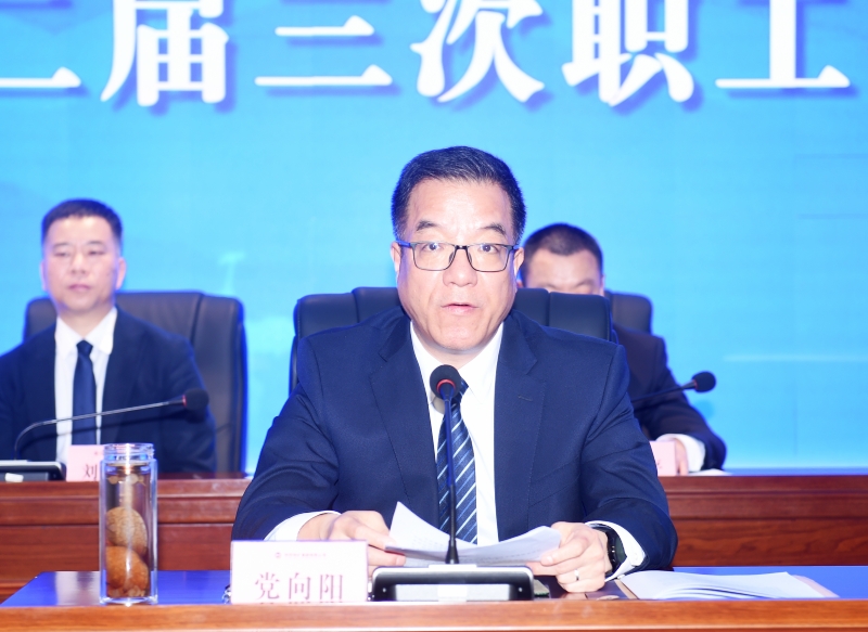 20250123/6791b8986fdd9.jpg 8.jpg