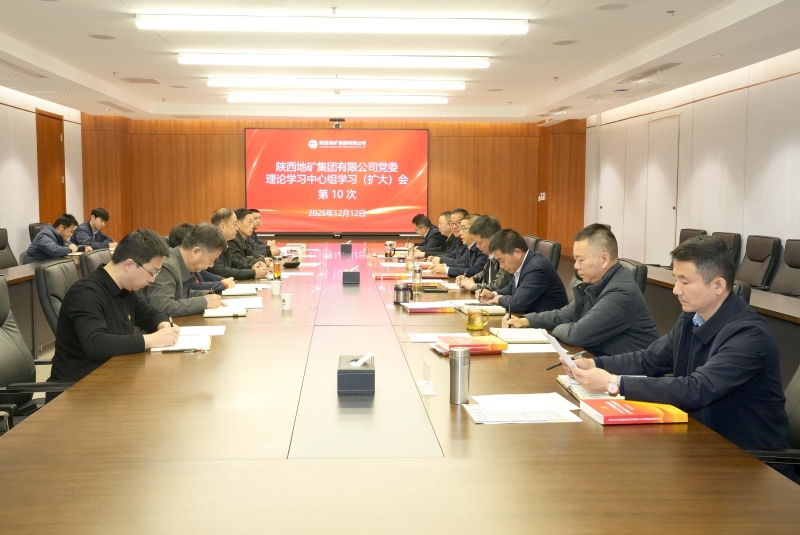 陜西地礦集團(tuán)黨委理論學(xué)習(xí)中心組召開(kāi)第10次學(xué)習(xí)研討會(huì)